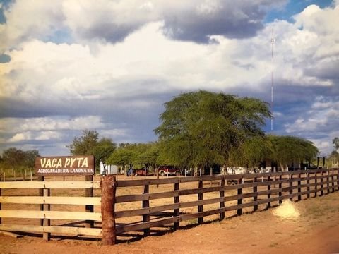 Mariscal Estigarribia-Chaco Paraguay Bauernhöfe, Landwirtschaft, Mariscal Estigarribia-Chaco Paraguay Forstwirtschaft
