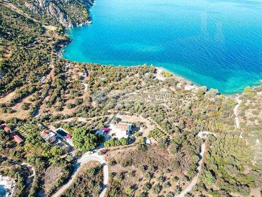 7b4a62f4cc9a416986e1591fb0e8899b-original