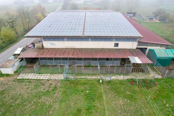 dji_fly_20251106_123902_401_1762430268301_photo.jp