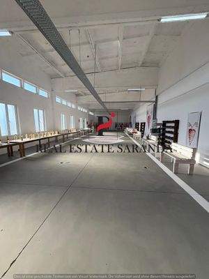 WhatsApp Image 2025-08-27 at 18.00.42.jpeg