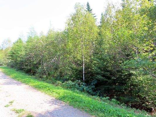 Cape Breton - Cleveland - Wunderschönes See-Ufer-G