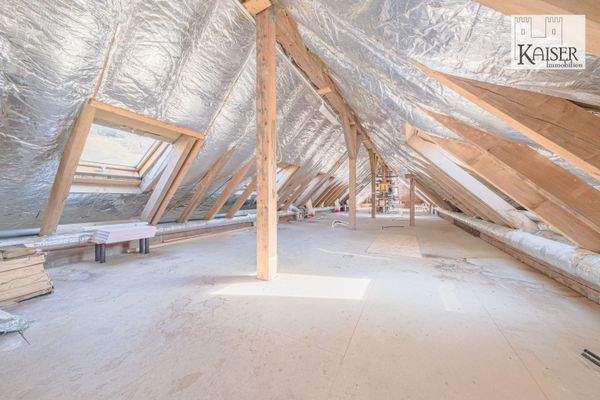 6 unausgebautes DG (2)