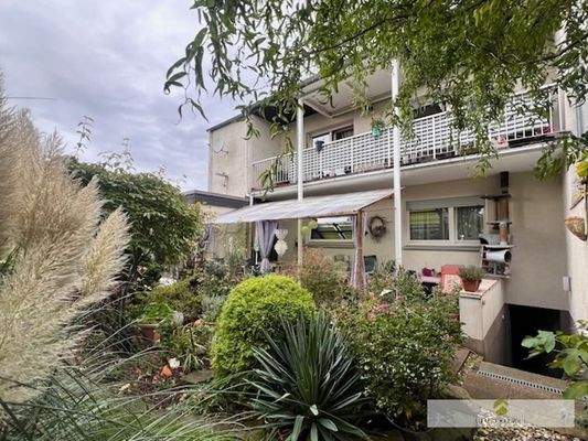 Gartenansicht der Immobilie mit Kellerzugang