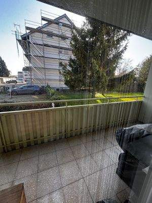 WhatsApp Image 2026-03-06 at 10.48.03(4).jpeg