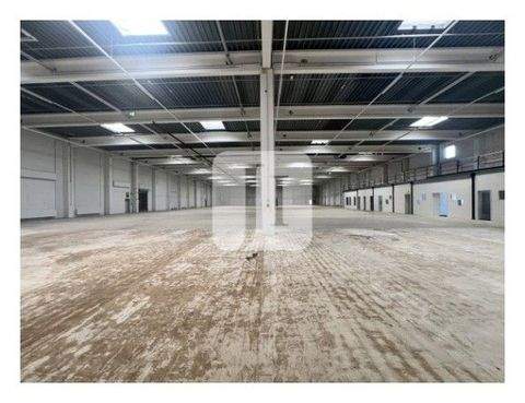 Hamburg Halle, Hamburg Hallenfläche