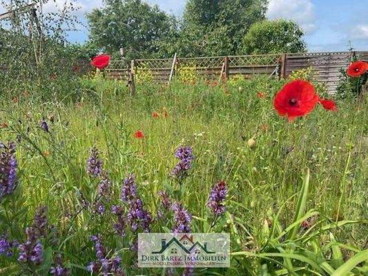 d9e035f7-7d6d-4014-89fe-1466fc5d2c57