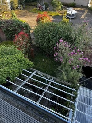 Gartenblick von oben.jpg