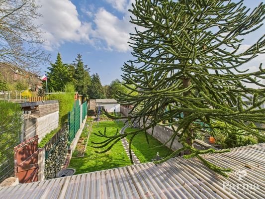 Blick in den Garten