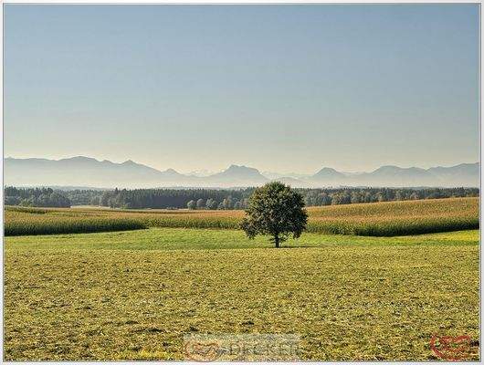 Bergblick