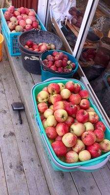 Kundenbilder (46).jpg