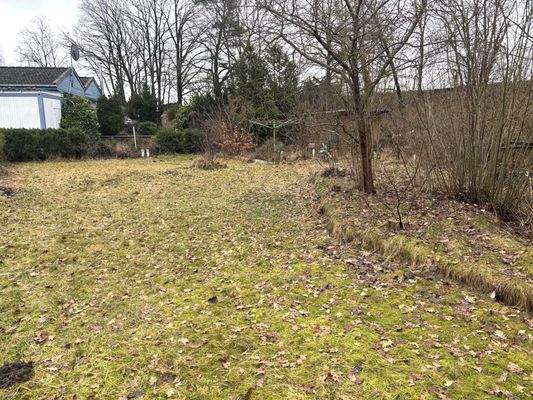 Garten und Holzschuppen