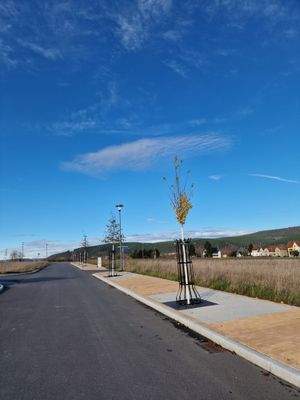 Graba II Straße.jpg