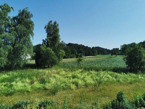 Tüßling Bauernhöfe, Landwirtschaft, Tüßling Forstwirtschaft