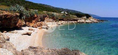 Jelsa Bauernhöfe, Landwirtschaft, Jelsa Forstwirtschaft