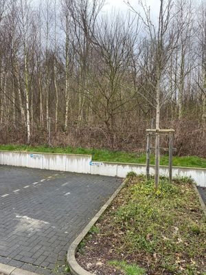 Außenstellplätze Ole Wisch
