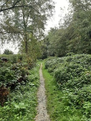 Wanderweg am Haus