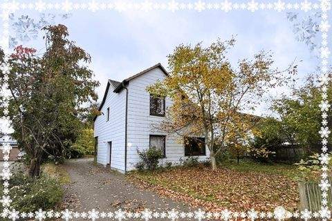 Kummerfeld Häuser, Kummerfeld Haus kaufen