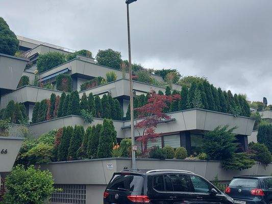 Die Wohnung (1. Etage)