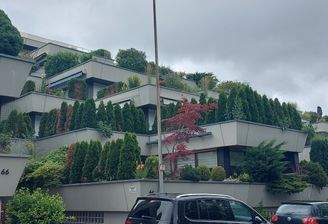 Die Wohnung (1. Etage)