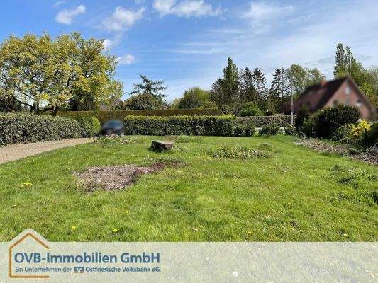 Blick Richtung Straße