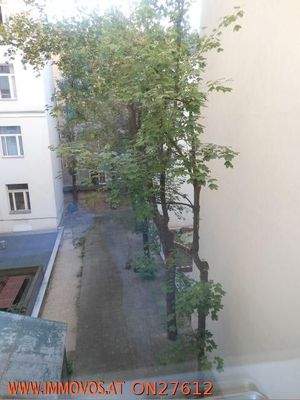 Aussicht Hof von der Küche aus.jpg