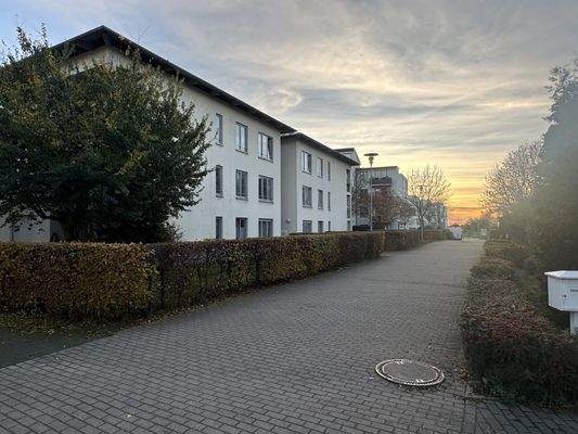 20251105_150611558_iOS