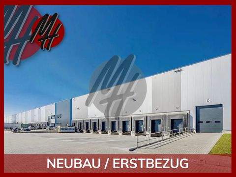 Bielefeld Halle, Bielefeld Hallenfläche