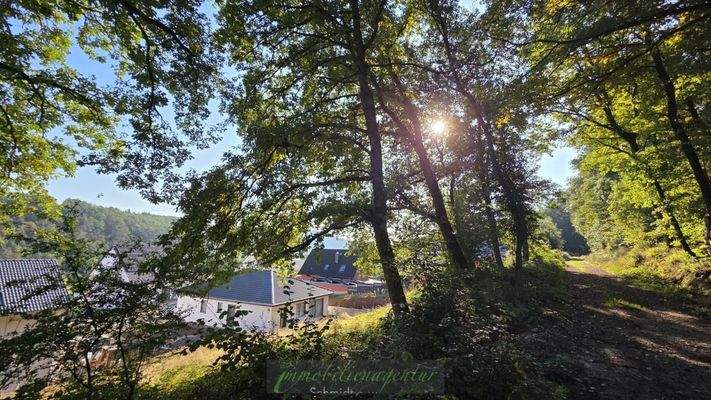 Oktobersonne am Vormittag