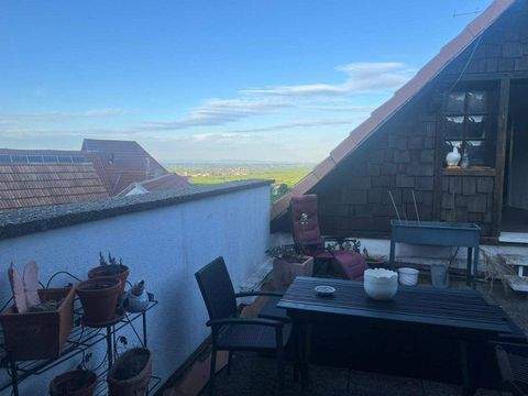 Burrweiler Renditeobjekte, Mehrfamilienhäuser, Geschäftshäuser, Kapitalanlage