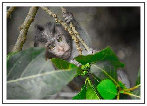 Berlin Wohnungen, Berlin Wohnung mieten