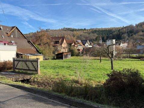 Teningen-Heimbach Grundstücke, Teningen-Heimbach Grundstück kaufen