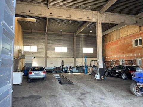 Langenzenn Halle, Langenzenn Hallenfläche