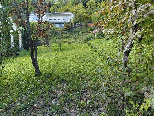 A-Bauplatz, Obstwiese
