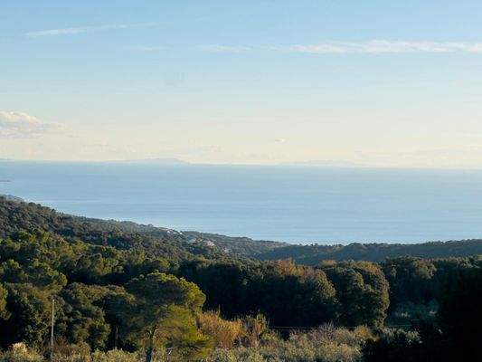 PHOTO-2024-12-11-21-49-57 4.jpeg