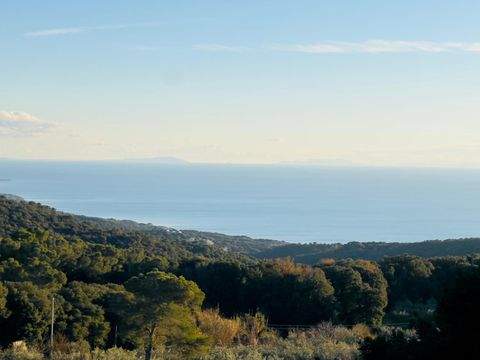 Castiglioncello Häuser, Castiglioncello Haus kaufen