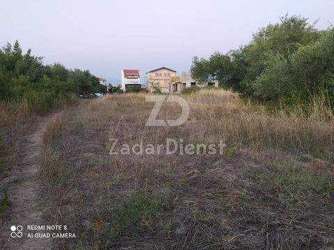 Arbanasi do Crno Bauernhöfe, Landwirtschaft, Arbanasi do Crno Forstwirtschaft