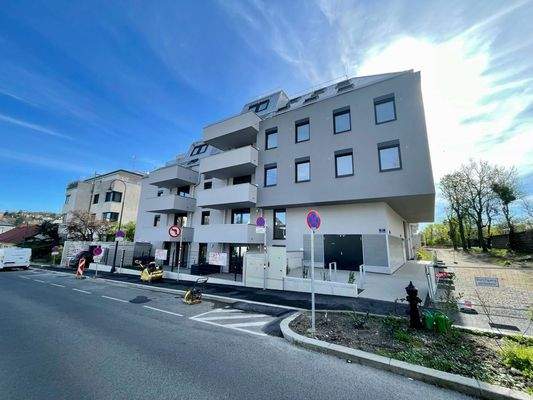 WhatsApp Image 2024-04-03 at 10.06.25 (2)