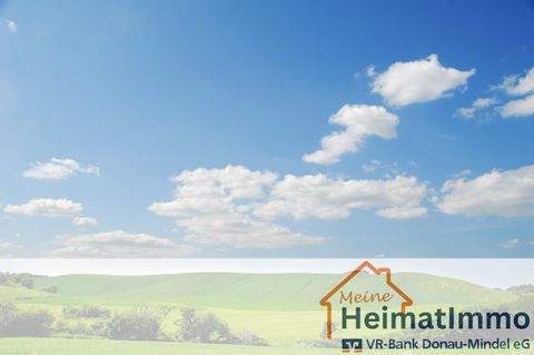 Blindheim Bauernhöfe, Landwirtschaft, Blindheim Forstwirtschaft