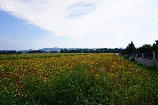 Weitblick vom Grundstück