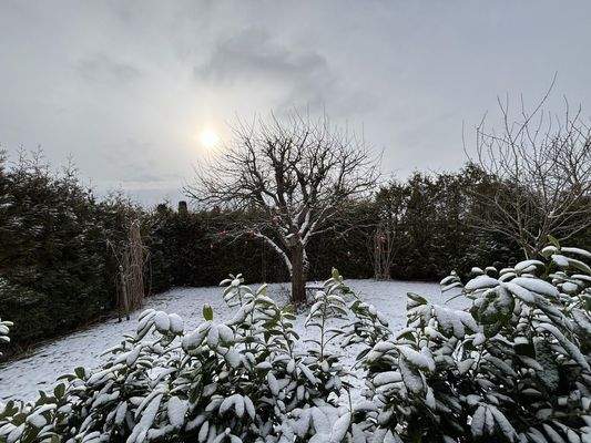 Blick Terrasse/aus Wohnzimmer
