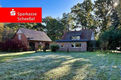 Fintel Häuser, Fintel Haus kaufen