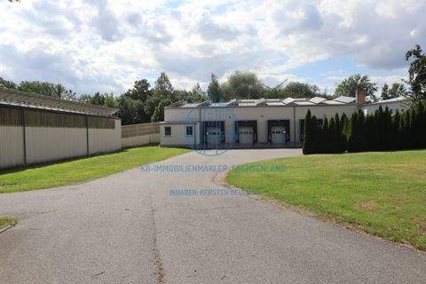 Hartha Halle, Hartha Hallenfläche