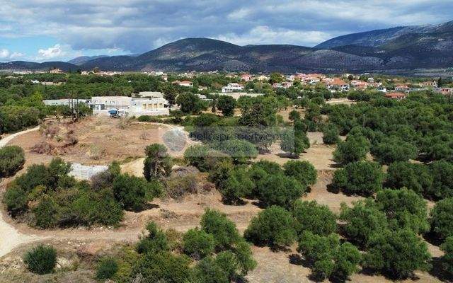 Pessada-Exclusive-Two-three-Bedroom-Off-Plan-Villa-14