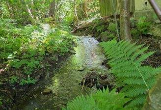 20260823_142149.jpg