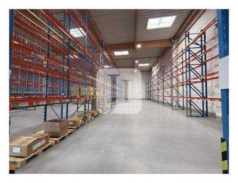 Hamburg Halle, Hamburg Hallenfläche