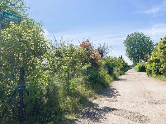 kurzer Weg zum Barleber See