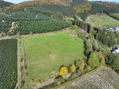 Schmallenberg Bauernhöfe, Landwirtschaft, Schmallenberg Forstwirtschaft