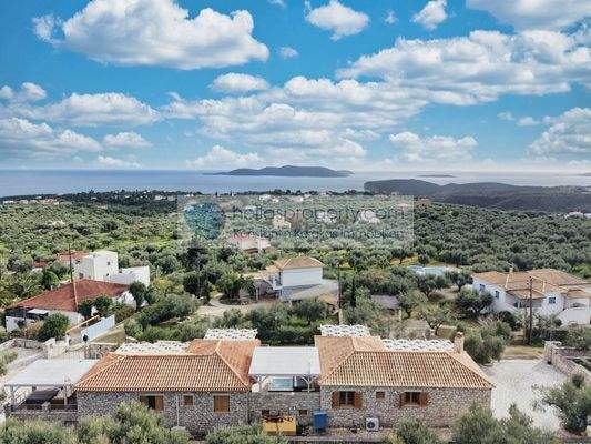 3c9ced41a642401abdc962bc6cbf0f6a-original