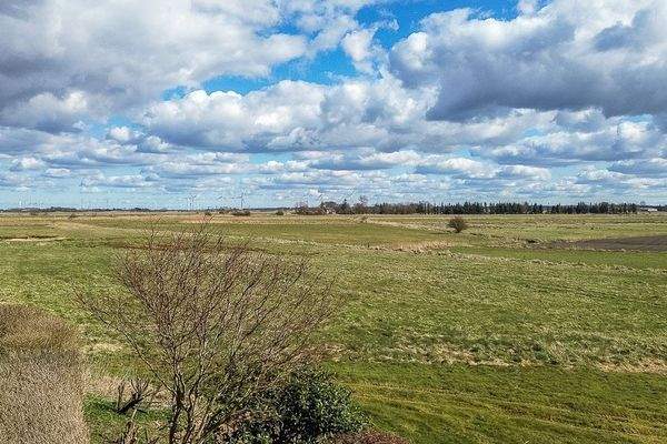Vogelperspektive über die Grünfläche