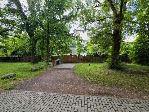 Wolfen Häuser, Wolfen Haus kaufen